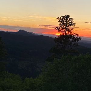 Meet your Posher, Gabby